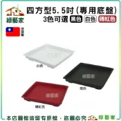 【綠藝家】四方型栽培盆5.5吋專用底盤(黑色.白色.磚紅色3色可選)塑膠花盆 多肉盆 育苗盆 栽