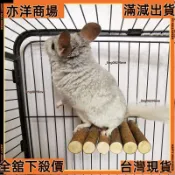 【亦洋百貨】天然蘋果木 踏板 跳台 小寵 兔子 龍貓 黃金鼠 鸚鵡 蘋果木磨牙玩具