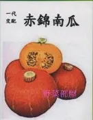 【野菜部屋~】K41 赤錦南瓜種子2粒 , 栗子南瓜 , 重約1.5公斤~