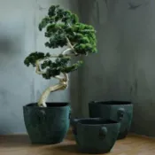 緹娜嚴選 tinaestore 【A01粗陶缸系列-多款可選-1款/組】陶瓷老式花缸水缸睡蓮荷花養魚盆庭院裝飾-90501