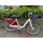 『小蔡單車』 中古 捷安特 U-BIKE 鋁合金車架 內變3速 限量 自行車