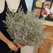 永生情人草乾燥花｜手作DIY｜拍照好看｜花束 家居櫥窗裝飾 永生卡斯比亞 婚慶花藝