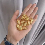 🎃{泰國} 龍婆本廟 招財 發財魚