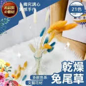 (店+)【織心手作】乾燥兔尾草 兔尾草 乾燥花材 乾燥花 不凋花 永生花 玫瑰花束配草  DIY乾燥花  迷你小花 拍攝道具