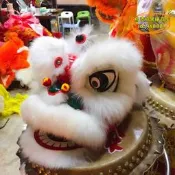 【台灣現貨】兒童塑料舞獅頭6/9寸舞獅子獅子頭佛山醒獅南獅玩具表演道具用品