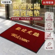 進門地毯 迎賓門墊 玄關地墊 除塵地墊 防滑吸水腳踏墊 商鋪酒店大門口地墊 紅色雙條紋