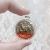 古巴康范 馬時能💞感情和合 桃花 異性緣不可或缺聖物之一