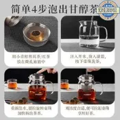 【一壺兩用】金灶A-76飄逸杯 玻璃茶壺 泡茶壺 過濾杯 茶杯 茶具套裝 家用泡茶 小青柑適用