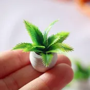 🇹🇼台灣現貨【鐵樹】微縮 袖珍 迷你 仿真 模型 擺飾 收藏 娃娃屋 家家酒 微景觀 DIY 盲盒 扭蛋 食玩 小物