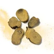 【泓蓮香業】越南梢楠木塊 大塊 梢楠柴｜一斤裝600g(需搭配香粉使用 柴塊 淨爐柴 淨香粉)