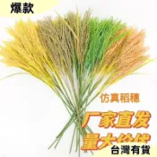 全店爆款✨仿真花長款5叉稻繐假禾苗塑料稻穀黃金麥繐戶外布景大麥舞蹈道具