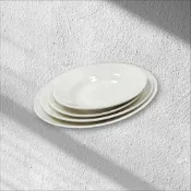 大同瓷器湯盤 圓湯盤 黑點凹點小凸點屬正常 餐盤菜盤 水果盤 烤盤 無毛細孔 易清洗耐撞擊 湯盤放水果點心(蝶依旗艦館)