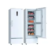 【SANLUX 台灣三洋】200公升-60度超低溫冷凍櫃(TFS-U200G)