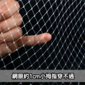 果園防鳥網 尼龍防鴿網 防麻雀網 大棚防護網 稻穀果樹網 尼龍網 養殖網 保護網 防鳥網 防護網 班甲網 厝鳥網 捕鳥網