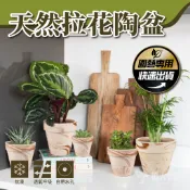 【植人會社】現貨- 瑪奇朵 天然拉花陶盆 造型盆 素燒 北歐極簡 水泥盆 水泥 陶器 陶盆 水泥花盆 大花盆 花器 陶盆