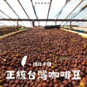限量發售.ᐟ.ᐟ正統台灣咖啡 水洗生豆｜生豆500克