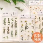 台灣現貨【花之美系列 PET手帳貼紙/多款選】追花 紙先生 植物素材貼紙 雛菊 滿天星 鳶尾花 幸運草 蕨類 貼紙