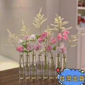 🔥台灣高質量🔥氛圍感神器 試管花瓶ins風透明玻璃 高顏值擺件 鮮花花器組合 水生植物栽培瓶 花瓶擺件 水耕植物 水