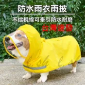 台灣出貨 寵物雨衣防水可愛 含包肚 披風雨衣 雨衣 斗篷 柯基 法鬥 柴犬 比熊 雪納瑞 貴賓 西高地 狗雨衣 米克斯