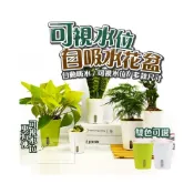 (店+)台灣現貨 ️放心出差出遊免澆水 可視水位 懶人花盆 花盆 自動吸水花盆 透明 懶人盆栽 小花盆 自吸水花盆 園藝