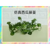 ★爬蟲新樂園★[台灣現貨]仿真藤蔓 西瓜藤蔓 綠蘿藤蔓 海棠藤蔓 爬牆虎藤蔓 葡萄藤蔓 樹藤 變色龍 樹棲爬蟲 蜥蜴