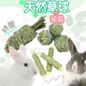 【台灣現貨】天然提摩西草球 兔子磨牙玩具｜三款造型可選｜天竺鼠/倉鼠適用｜可塞零食互動｜牧草編織無膠｜超商取貨OK