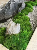協貿國際日用品生活6館 美空青龍石造景石永生苔蘚波斯草仿真日式庭院枯山水灰石子假植物