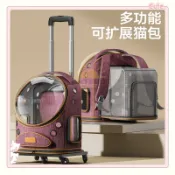 💥臺灣出貨💥寵物拉桿箱貓包外出便攜狗狗小型犬大容量雙肩寵物太空艙貓咪揹包Op