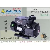 【94五金】⚡限量促銷⚡大井WALRUS TS800 1HP 電子靜音型抽水機 不生鏽水機 抽水馬達 泵浦 TS800B