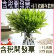 49目波斯草蕨類模擬植物綠植盆栽裝飾塑膠假草 spe-0556
