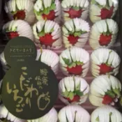 明年見【日本空運菊池黑糖蜜草莓】黑盒包裝更顯尊貴 粒粒精選 不容錯過 口感紮實 香味濃 屬高甜度的草莓 產季短產量少