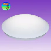 (店+)SK-571B  20W簡易型微波感應吸頂燈(全電壓)(可指定人到亮或晚上亮)