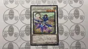 [貓屌印CDP] LVP3-JP042 芳香熾天使迷迭香 (銀字)