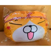🟠🟠🟠白爛貓 限定款抱枕 小靠枕 午安枕頭全新正版現貨