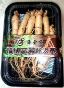 2026 正韓國新鮮高麗人蔘 .四年生（中）（非薰硫酒製保鮮蔘）可泡酒、泡醋、泡蜂蜜 〔赤壺堂養生本草園〕