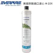 【EVERPURE】美國原裝進口濾心 H-104
