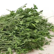 【青青草原寵物館】百幕達 提摩西一割 二割 苜蓿 燕麥草 甜小麥 寵物牧草 無香精無添加純天然草料安心餵寵物