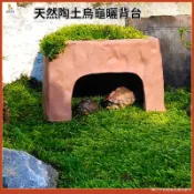 烏龜晒臺 爬坡石 爬蟲蝦蜥蜴蜘蛛龜窩黃緣躲避洞 烏龜缸龜穴裝飾擺件 烏龜巢穴
