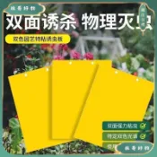 台灣出貨 熱銷 爆款推薦📣雙麵粘蟲黃闆誘蟲闆柑橘子樹瓜果實蠅果園針蜂大棚薊馬蒼蠅藍闆尺寸15*10黏蟲紙 雙面黏蟲板 