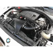 美國 AFE Power Magnum 進氣 系統 香菇頭 BMW 1系列 寶馬 專用 E82 E88 F20 F21