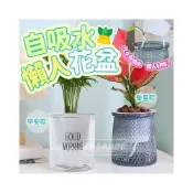 (店+)懶人花盆 🪴 水培花盆栽 自吸水花盆 盆栽容器 水耕植物 水耕盆栽 水培植物 水培花盆 水耕瓶 園藝 水耕 盆栽 水培