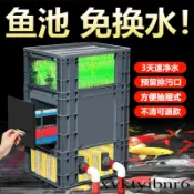 【✨免運 宅配到府】魚缸過濾器 魚池乾濕分離 凈水循環系統 魚塘過濾盒 水池周轉箱 過濾箱