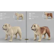 🍁 （3款高品質畫工肌肉表現） 沙皮狗 肉嘴 狗狗 小狗 鬥牛犬 仿真 動物模型 兒童玩具 公仔 SPG 隨草憶境