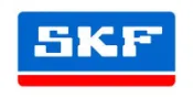 CPI Enduro SM250 滑胎車 SKF 滾珠軸承 6004-2RS1  檔車 機車