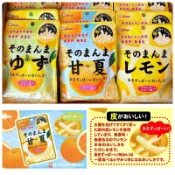 預購-日本 獅王LION 檸檬皮 柚子皮 橘子🍊皮（甘夏） 果乾 砂糖 果絲 25g 水果乾