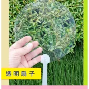 扇子 舉牌 透明空白扇子 18cm 小透扇 空白彩繪DIY 手工扇子