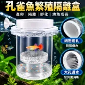 【孔雀魚繁殖隔離盒】孔雀魚 隔離盒 產卵桶 母魚 孵化網 產房 小魚 幼魚 隔離 透明 產子 產箱 魚中魚
