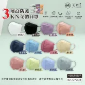 (店+)【聚泰科技】KN95 成人3D立體口罩 10入/盒 防疫保護 防疫首選 成人立體口罩 3D立體口罩 無痛耳帶 醫材字號