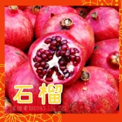 ✨石榴新苗漂亮販售中【狀元紅石榴】【菲比石榴】【天使紅軟籽石榴】【黑珍珠石榴】苗 大青皮大紅袍突尼斯白花玉胭脂紅紅寶石