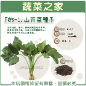 【蔬菜之家】F05-1.山芹菜種子1.35克(約500顆) //全株綠色、葉片、葉柄及嫩莖均可食用，性喜較冷涼天